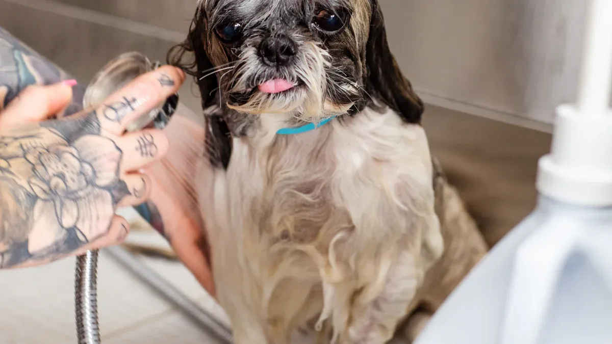 Versatile Uses for Your Hand Shower