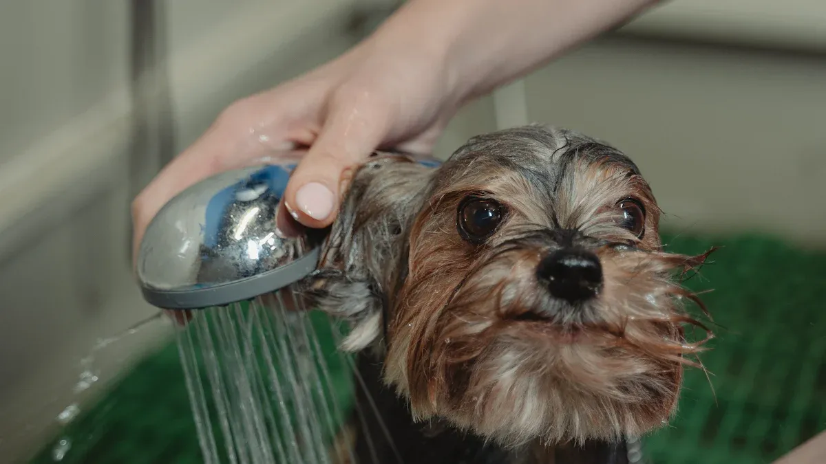 Why Your Bathroom Needs a Hand Shower More Than You Think